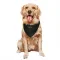 Black Houston Texans Andrew Beck   Service Dog & Cat Pet Bandana