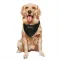 Black Houston Texans Danny Amendola   Service Dog & Cat Pet Bandana