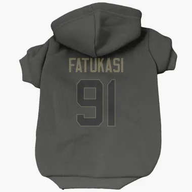 Black Houston Texans Folorunso Fatukasi   Service Dog & Cat Pet Hoodie