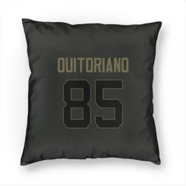 Black Houston Texans Teagan Quitoriano   Service Pillow Cover (18 X 18)