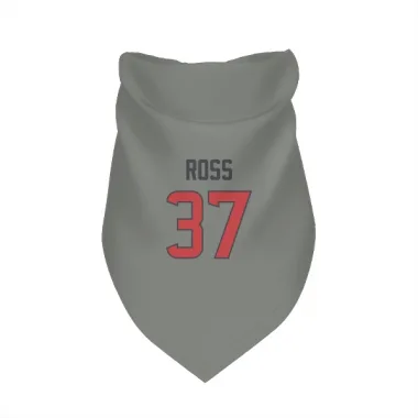 Gray Houston Texans D'Angelo Ross   Dog & Cat Pet Bandana