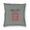 Gray Houston Texans Del'Shawn Phillips   Pillow Cover (18 X 18)