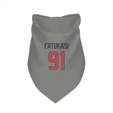 Gray Houston Texans Folorunso Fatukasi   Dog & Cat Pet Bandana