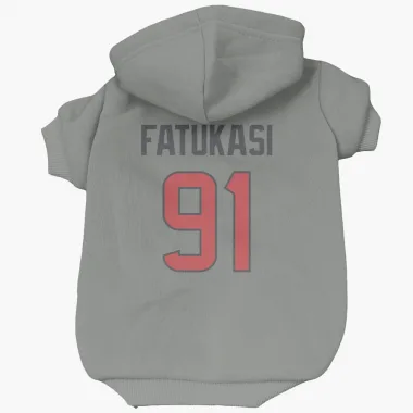 Gray Houston Texans Folorunso Fatukasi   Dog & Cat Pet Hoodie