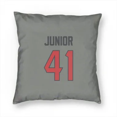 Gray Houston Texans Gregory Junior   Pillow Cover (18 X 18)