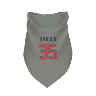 Gray Houston Texans Jake Hansen   Dog & Cat Pet Bandana