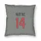 Gray Houston Texans Jared Wayne   Pillow Cover (18 X 18)