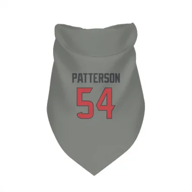 Gray Houston Texans Jarrett Patterson   Dog & Cat Pet Bandana