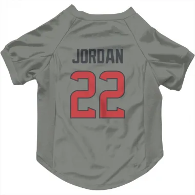 Gray Houston Texans Jawhar Jordan   Dog & Cat Pet Jersey