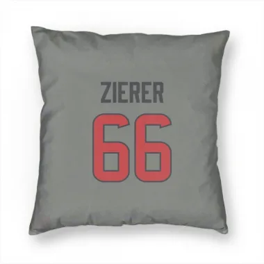 Gray Houston Texans Kilian Zierer   Pillow Cover (18 X 18)