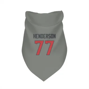 Gray Houston Texans LaDarius Henderson   Dog & Cat Pet Bandana