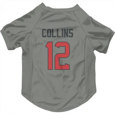 Gray Houston Texans Nico Collins   Dog & Cat Pet Jersey