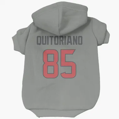 Gray Houston Texans Teagan Quitoriano   Dog & Cat Pet Hoodie