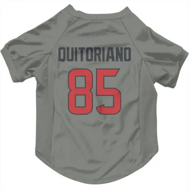 Gray Houston Texans Teagan Quitoriano   Dog & Cat Pet Jersey