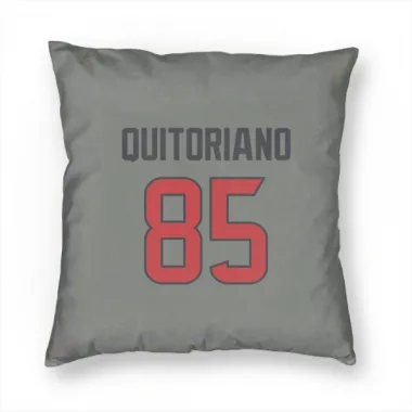 Gray Houston Texans Teagan Quitoriano   Pillow Cover (18 X 18)