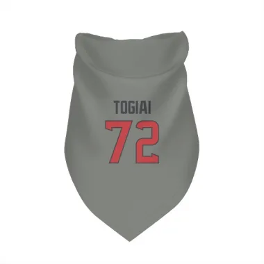 Gray Houston Texans Tommy Togiai   Dog & Cat Pet Bandana