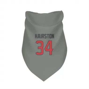 Gray Houston Texans Troy Hairston   Dog & Cat Pet Bandana