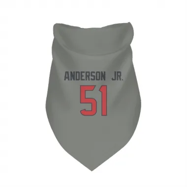 Gray Houston Texans Will Anderson Jr.   Dog & Cat Pet Bandana