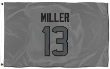 Houston Texans Braxton Miller  Silver Flag (3 X 5)