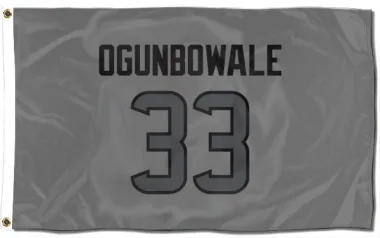 Houston Texans Dare Ogunbowale  Silver Flag (3 X 5)