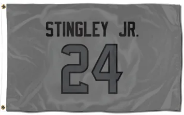 Houston Texans Derek Stingley Jr.  Silver Flag (3 X 5)