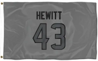 Houston Texans Neville Hewitt  Silver Flag (3 X 5)