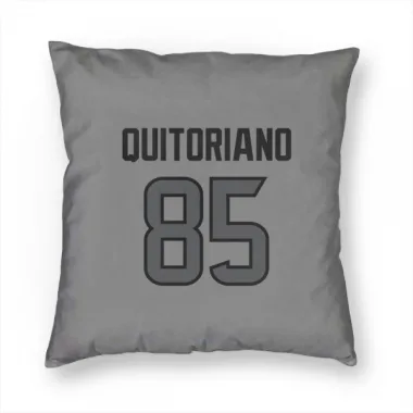 Houston Texans Teagan Quitoriano  Silver Pillow Cover (18 X 18)