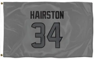 Houston Texans Troy Hairston  Silver Flag (3 X 5)