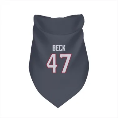 Navy Houston Texans Andrew Beck   Dog & Cat Pet Bandana