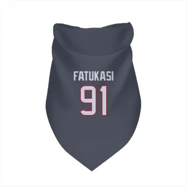 Navy Houston Texans Folorunso Fatukasi   Dog & Cat Pet Bandana