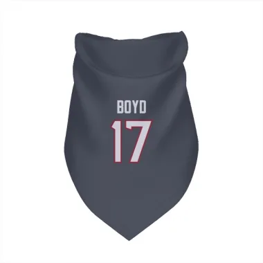 Navy Houston Texans Kris Boyd   Dog & Cat Pet Bandana