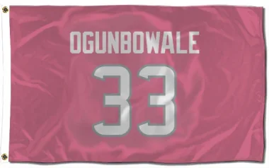 Pink Houston Texans Dare Ogunbowale   Flag (3 X 5)