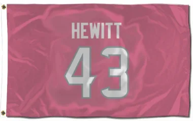 Pink Houston Texans Neville Hewitt   Flag (3 X 5)