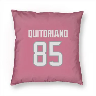 Pink Houston Texans Teagan Quitoriano   Pillow Cover (18 X 18)