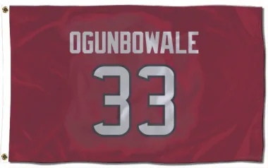 Red Houston Texans Dare Ogunbowale   Flag (3 X 5)