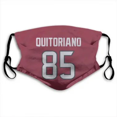 Red Houston Texans Teagan Quitoriano   Face Mask