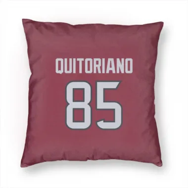 Red Houston Texans Teagan Quitoriano   Pillow Cover (18 X 18)