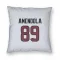 White Houston Texans Danny Amendola   Pillow Cover (18 X 18)