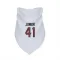 White Houston Texans Gregory Junior   Dog & Cat Pet Bandana