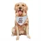 White Houston Texans Jawhar Jordan   Dog & Cat Pet Bandana