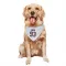 White Houston Texans Kurt Hinish   Dog & Cat Pet Bandana