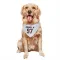 White Houston Texans Mario Edwards Jr.   Dog & Cat Pet Bandana