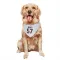 White Houston Texans Neville Hewitt   Dog & Cat Pet Bandana