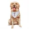 White Houston Texans Stefon Diggs   Dog & Cat Pet Bandana