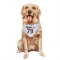 White Houston Texans Tremayne Anchrum Jr.   Dog & Cat Pet Bandana