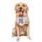 White Houston Texans Vince Wilfork   Dog & Cat Pet Bandana